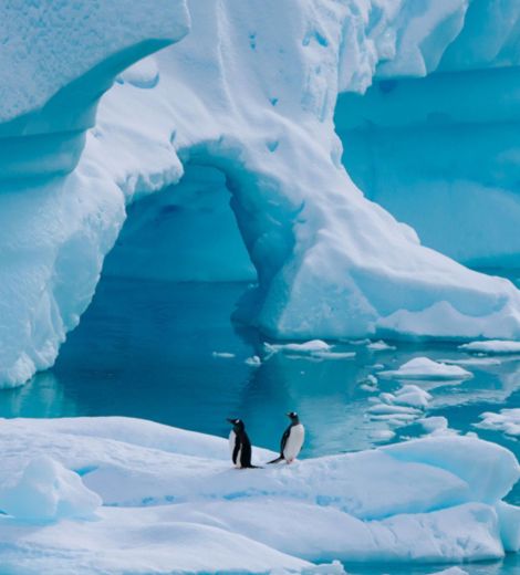 Antarctica Neko Harbour