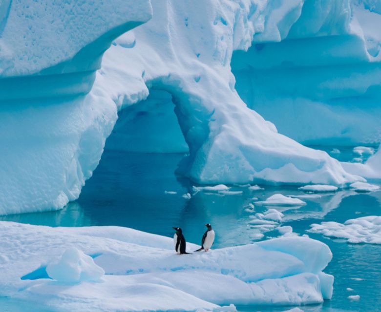 Antarctica Neko Harbour