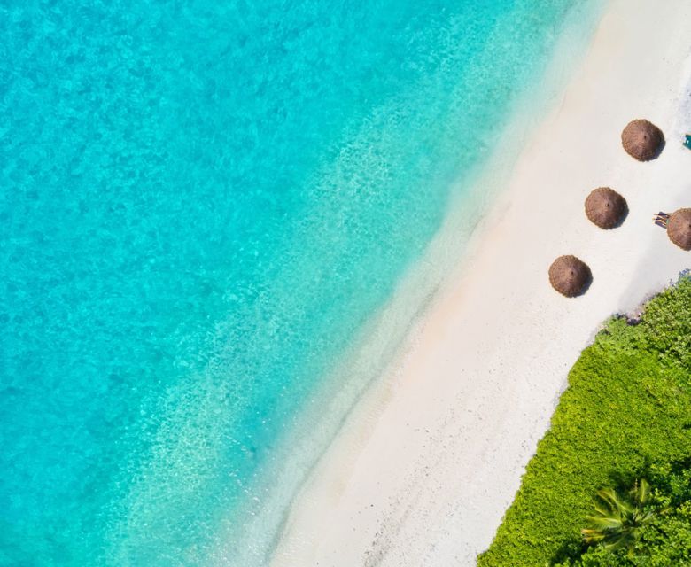 HELLO PARADISE