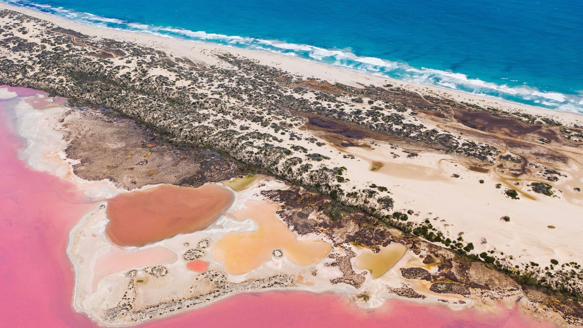 Hutt Lagoon, Port Gregory 120790 © Tourism WA