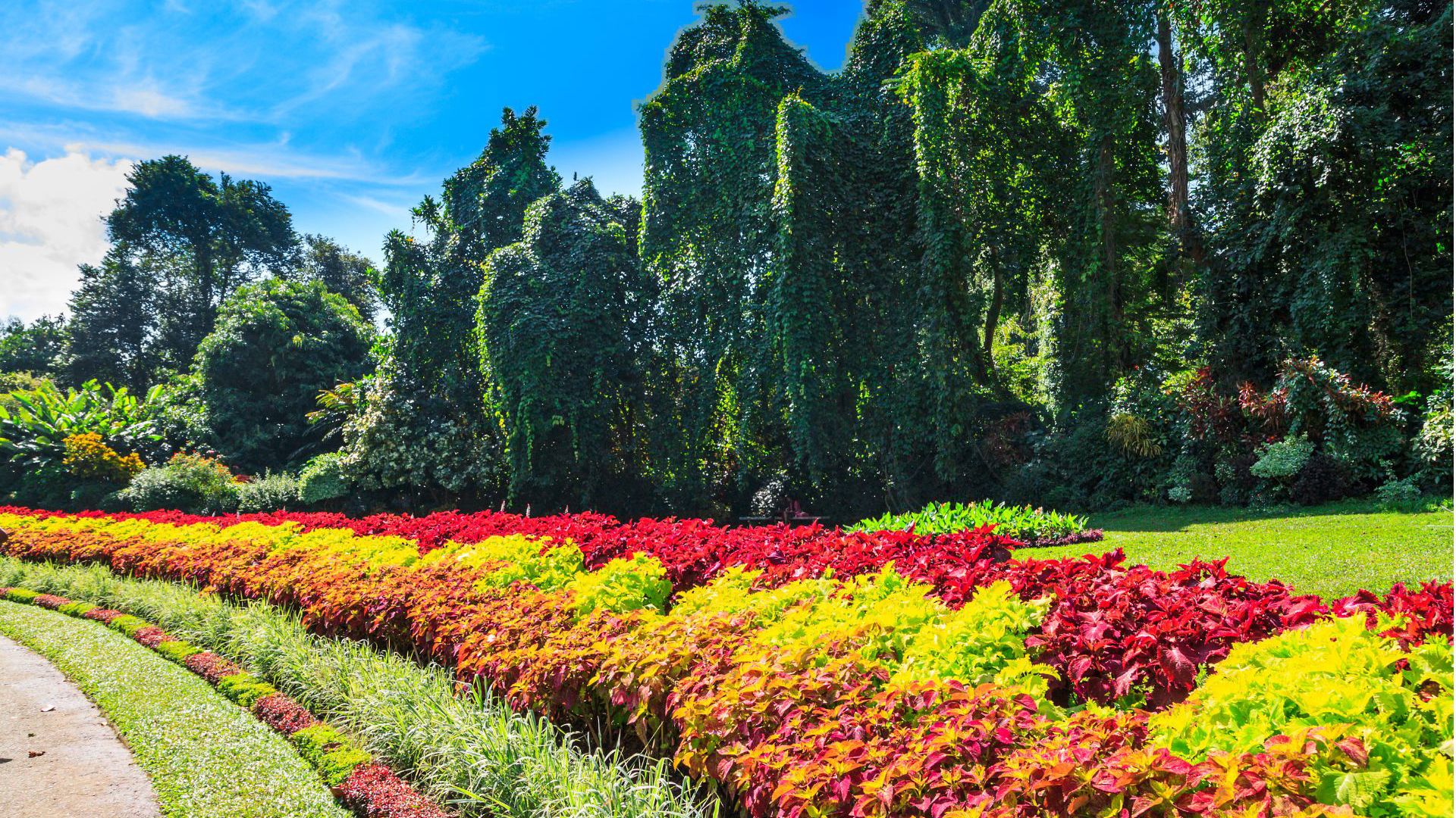 Panoramic Lanka with Total Holiday Options