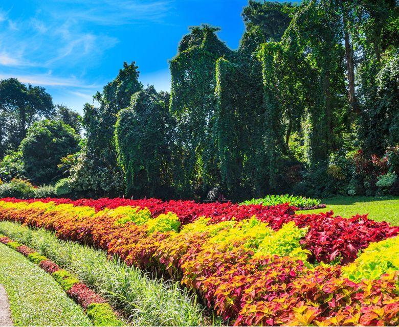 Panoramic Lanka with Total Holiday Options