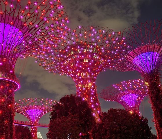 Gardens by the Bay at night Singapore