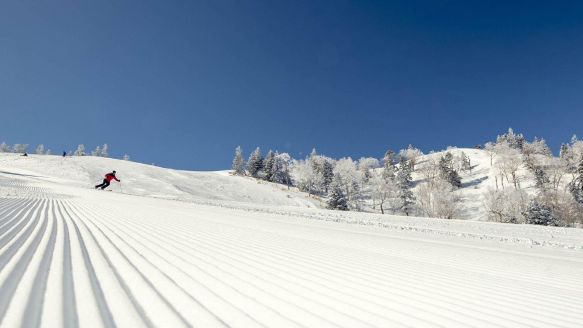 Shiga Kogen Resort - Travel & Co