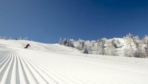 Shiga Kogen Resort - Travel & Co