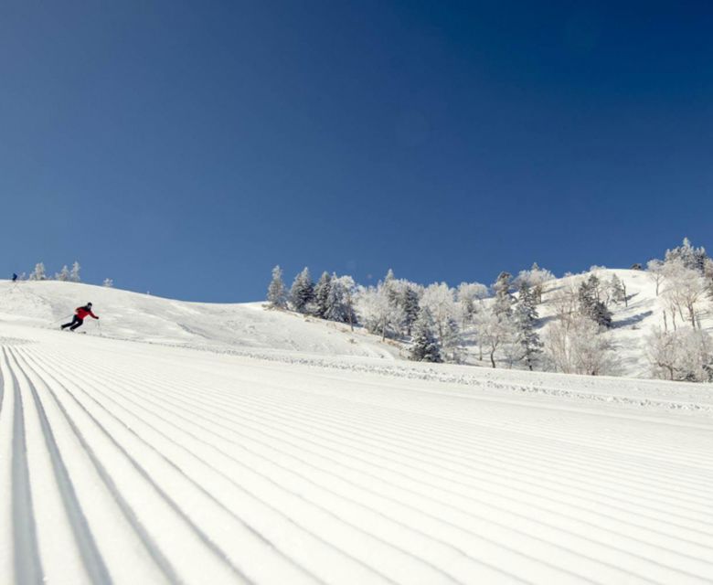 Shiga Kogen Resort - Travel & Co