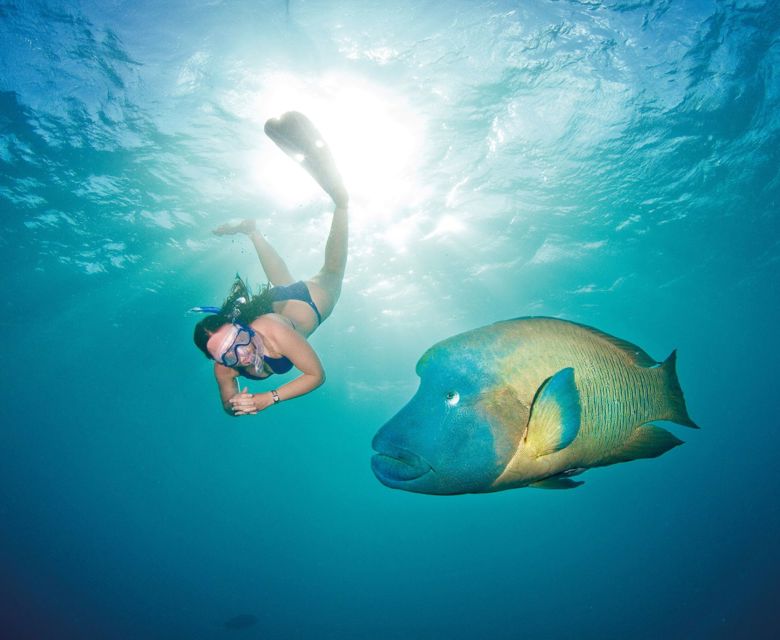 snorkelling GBR - Credit Tourism Port Douglas & Daintree