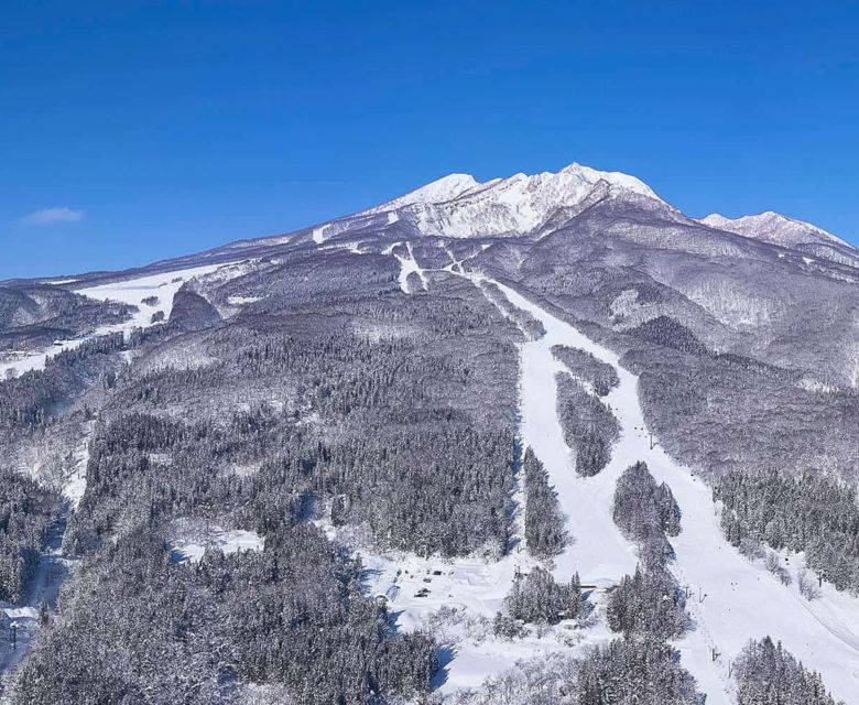 Myoko Kogen Travel & Co