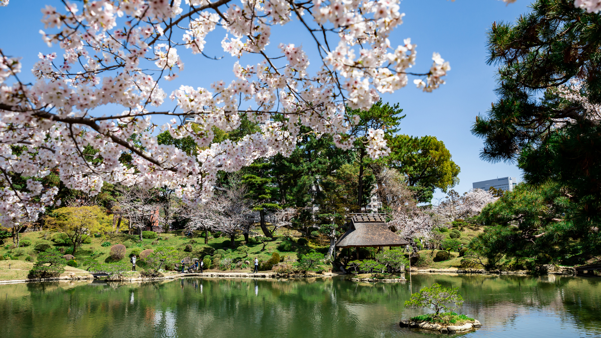Hiroshima Castle - Hiroshima, Japan