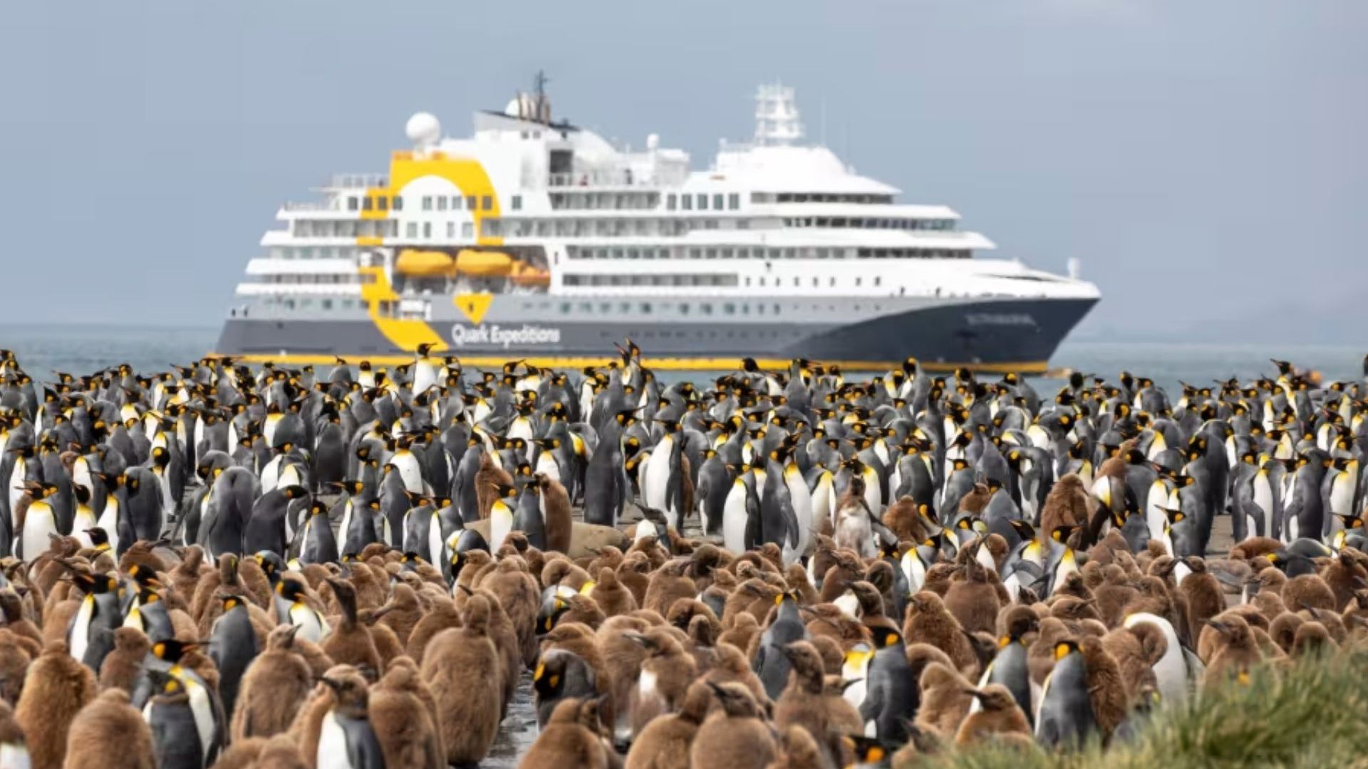 South Georgia and Antarctic Peninsula