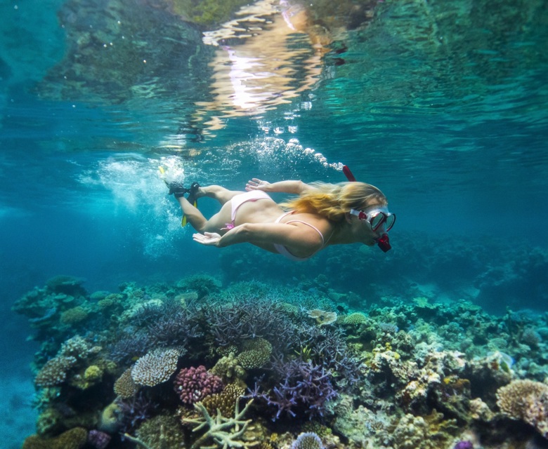 Havannah Snorkelling