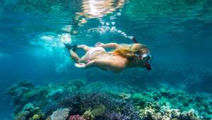 Havannah Snorkelling