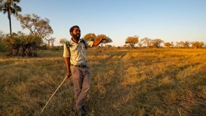 Sunway Botswana Okavango Delta Credit Bruce Taylor