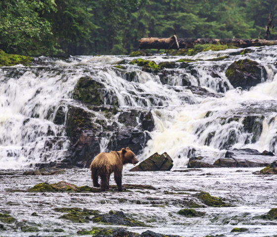 Alaska Inside Passage