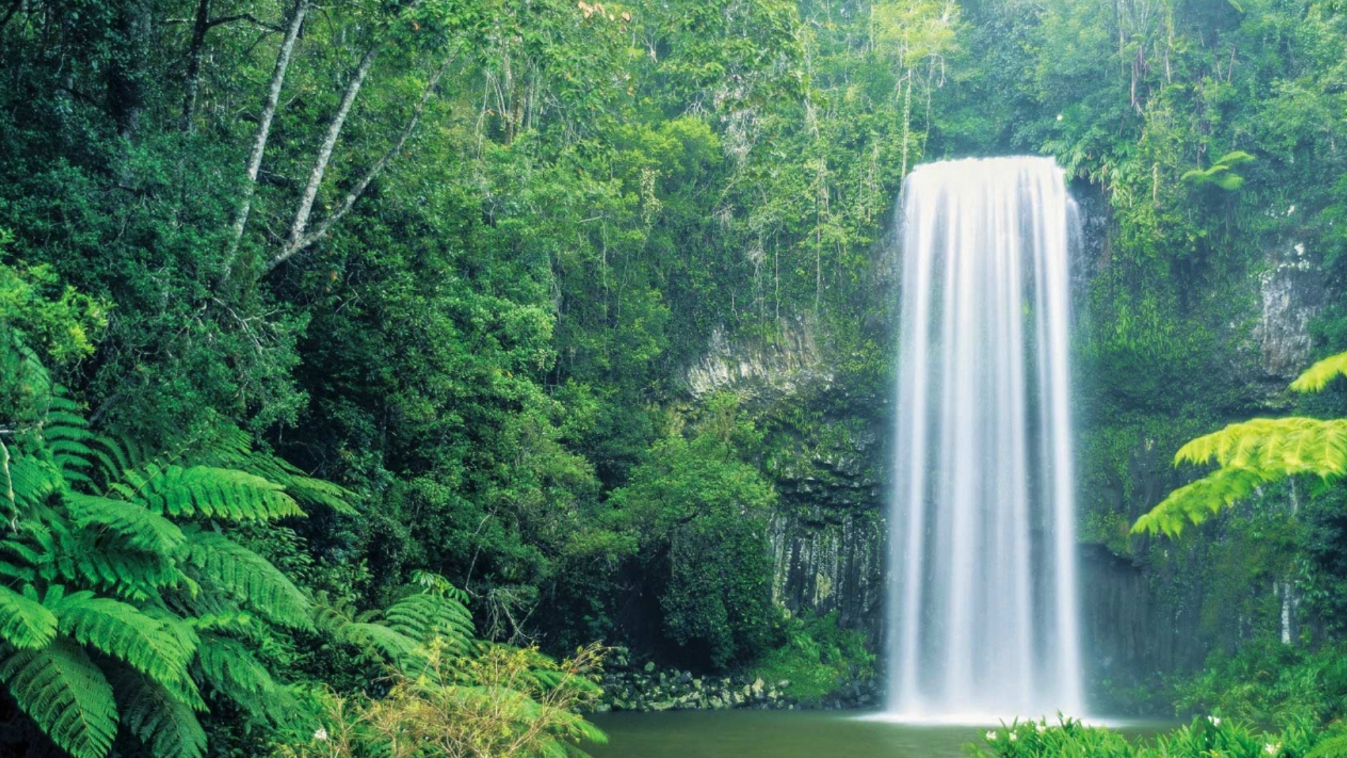 13 Day East Coast Island Escape - Waterfall