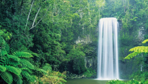 13 Day East Coast Island Escape - Waterfall