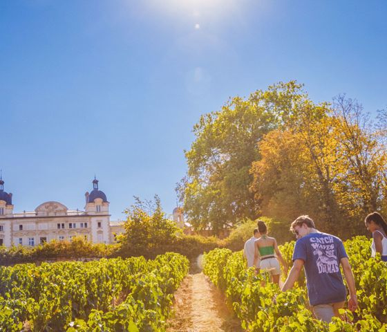 Contiki Chateau France