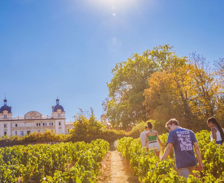 Chateau France Contiki