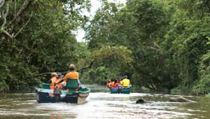 Kinabatangan River - Total Holiday Options