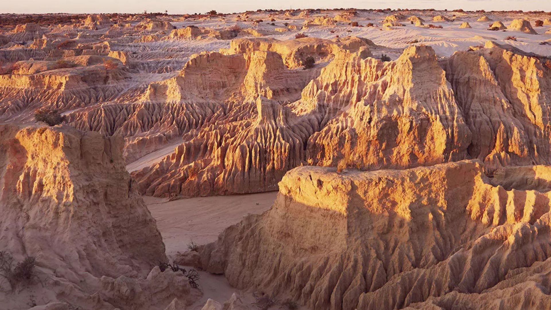 Mungo NP
