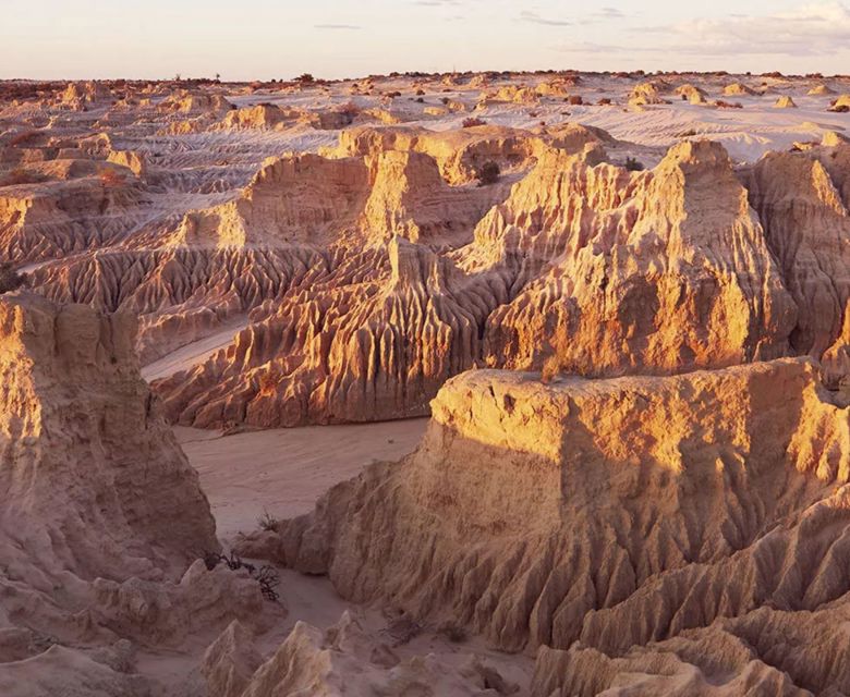 Mungo NP