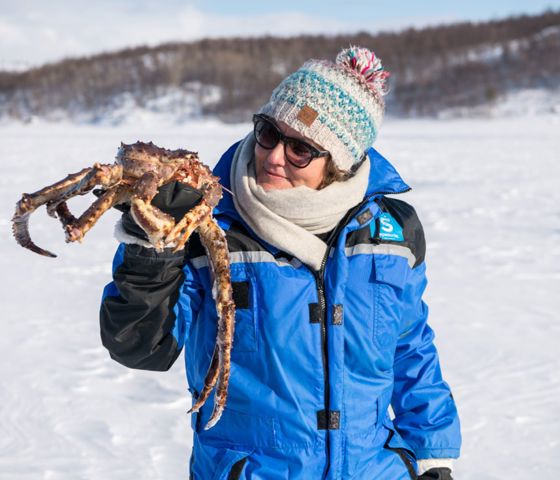 Arctic Crabs