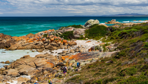 Tasmanian Walking Company Walk Tasmania