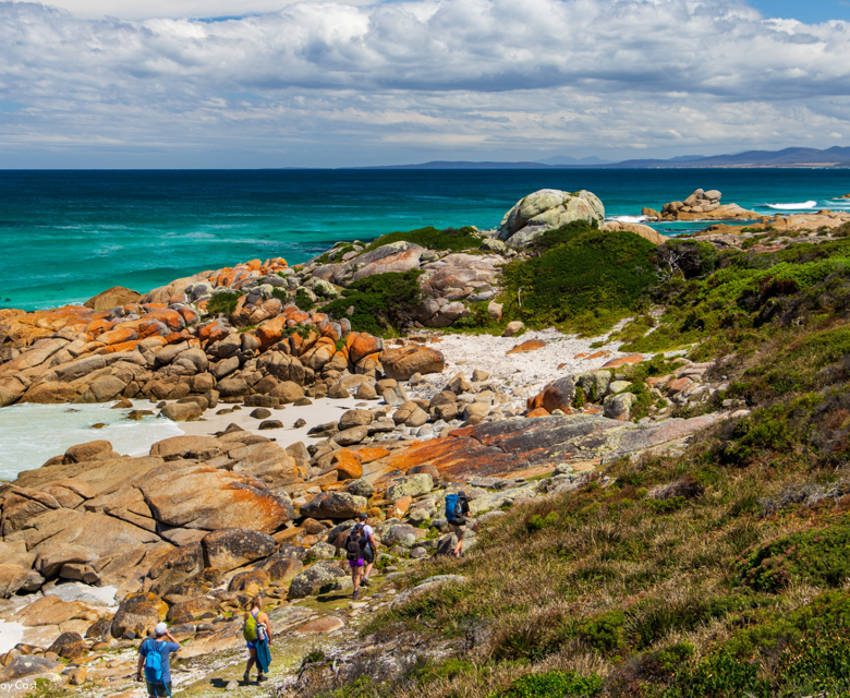 Tasmanian Walking Company Walk Tasmania