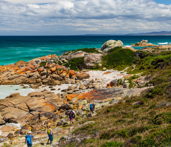 Tasmanian Walking Company Walk Tasmania