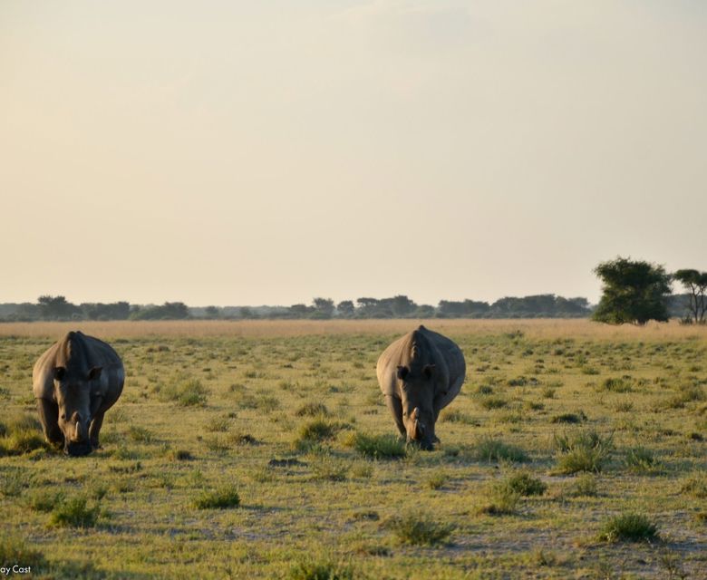 Sunway Botswana Khama Rob Swanepoel