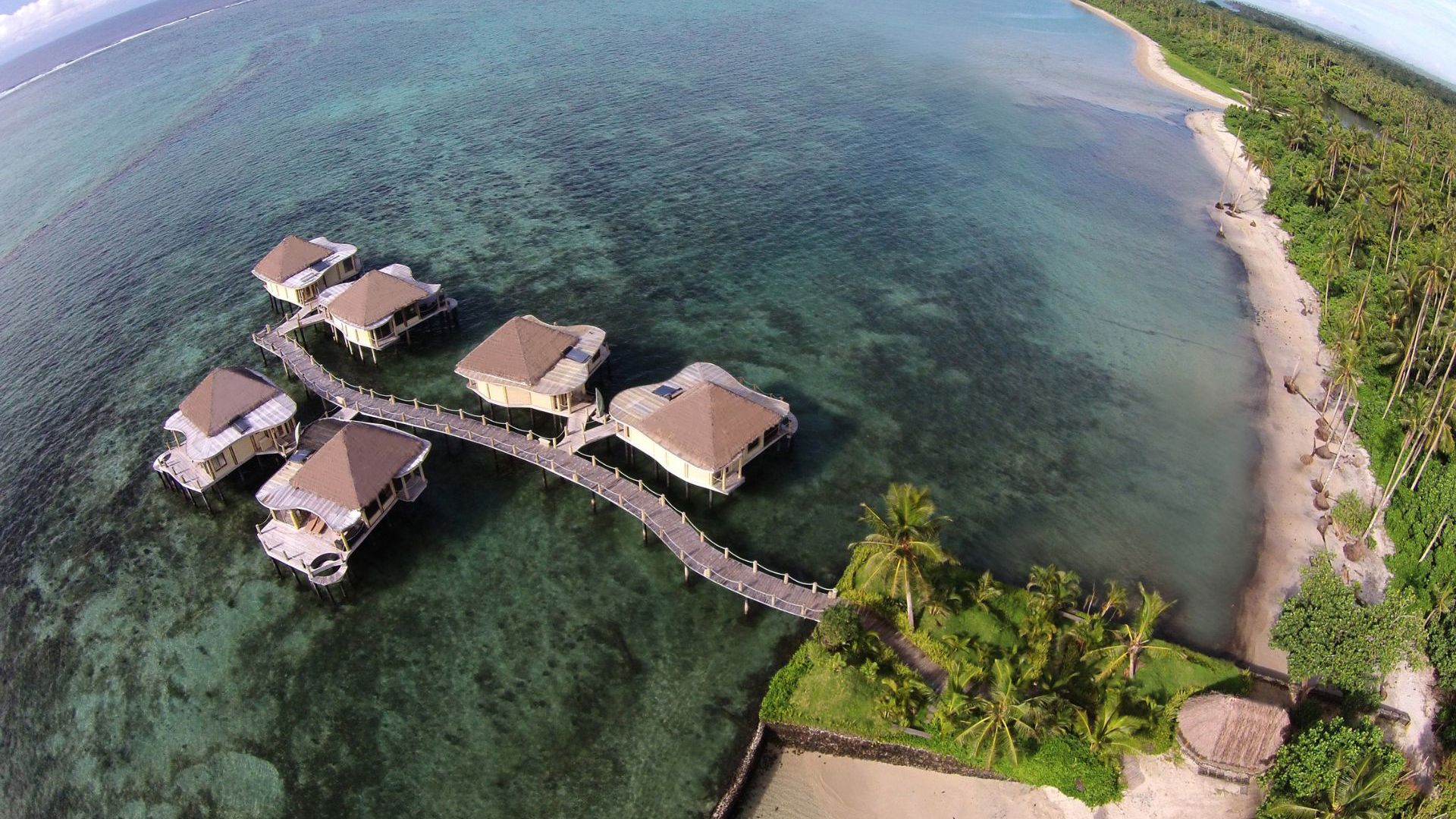 Coconuts Aerial View