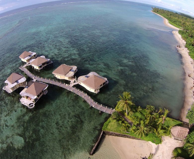 Coconuts Aerial View