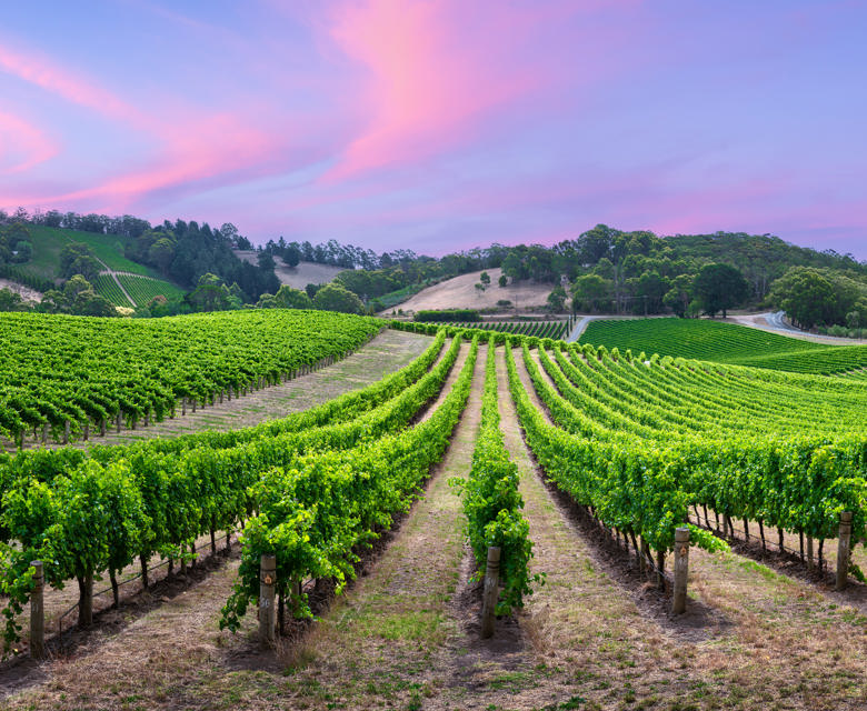 Adelaide – New Year Sale 2026