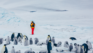 Snow Hill David Merron Passengers With Penguins (18) Quark Expeditions