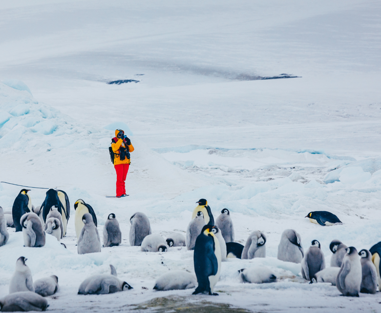 Passengers With Penguins Quark Expeditions