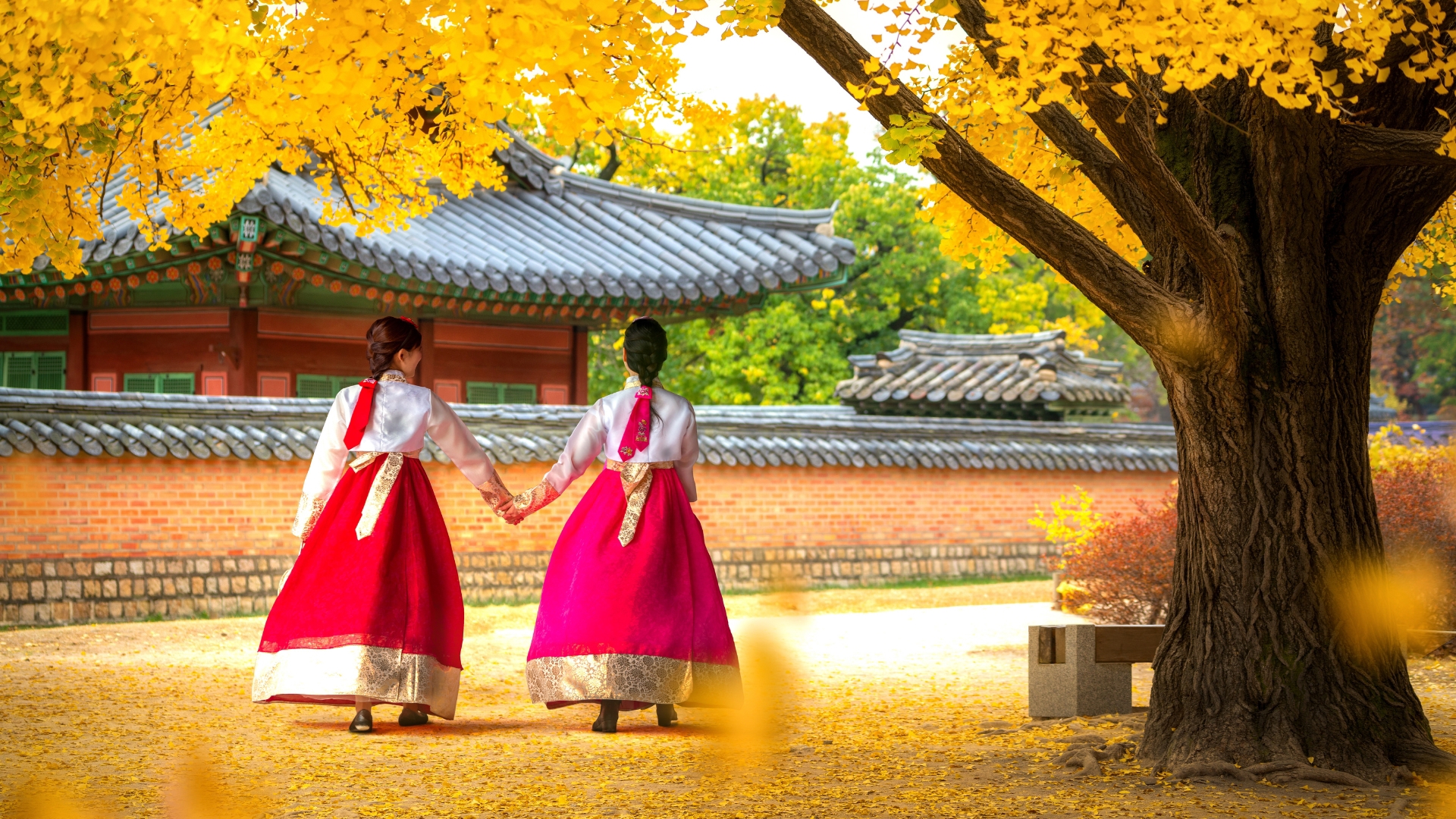Women in Traditional Hanbok Dress - South Korea
