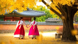 Women in Traditional Hanbok Dress - South Korea