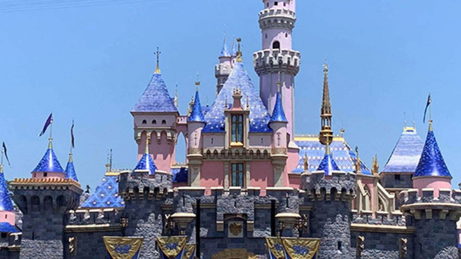 Disneyland Castle - Image credit: Bridget