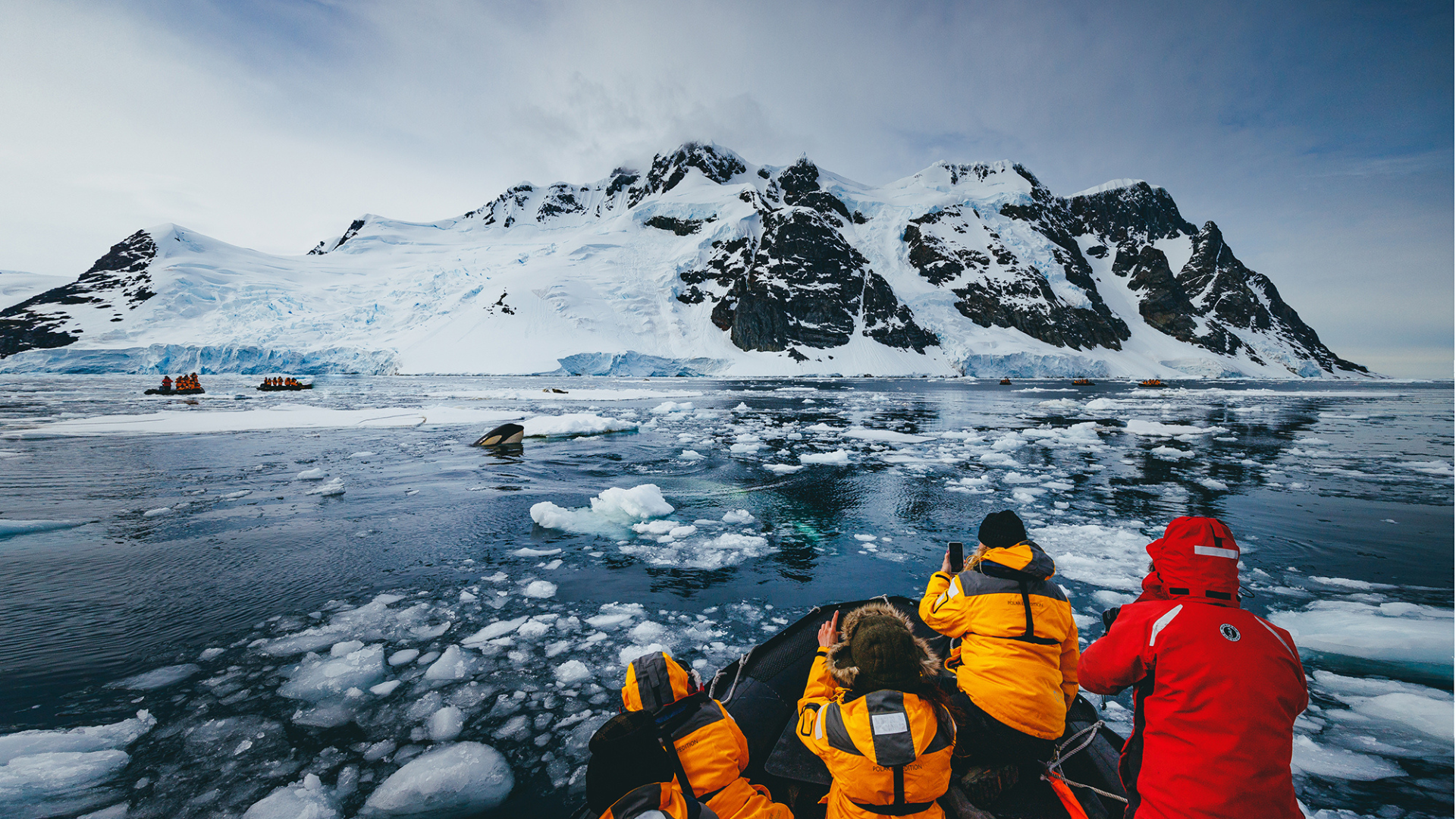 Antarctica Quark Expeditions