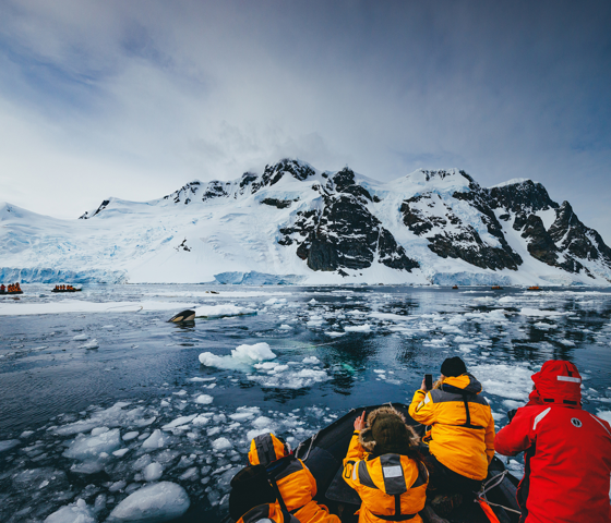 Antarctica Quark Expeditions