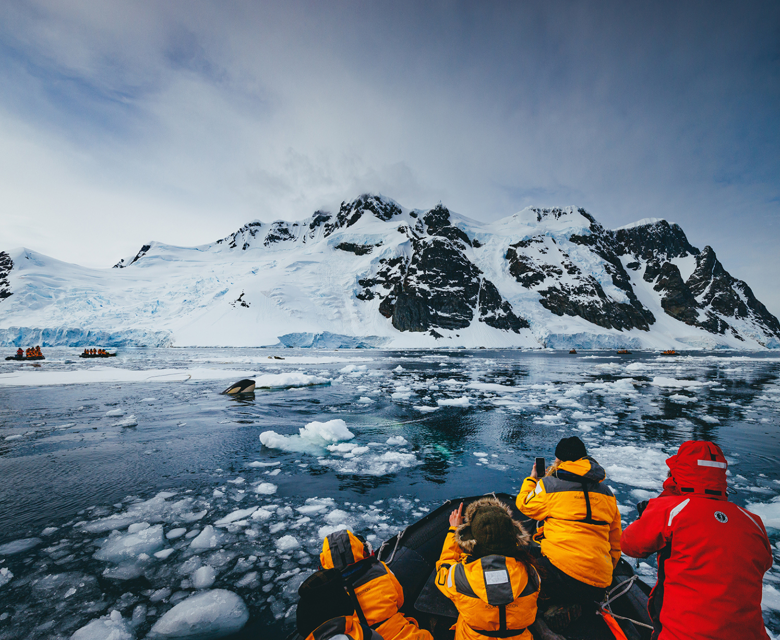 Antarctica Quark Expeditions