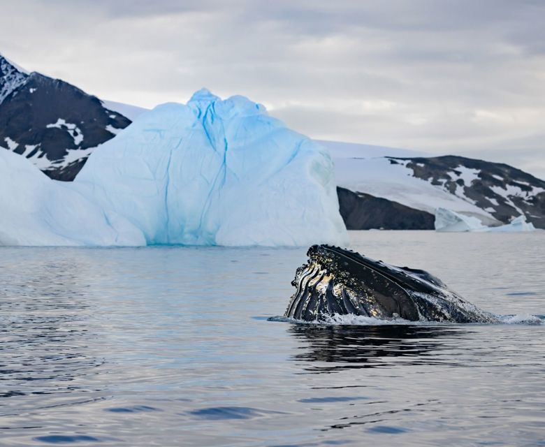 Antarctica