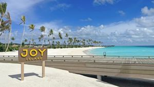 Joy Island - Aerial View