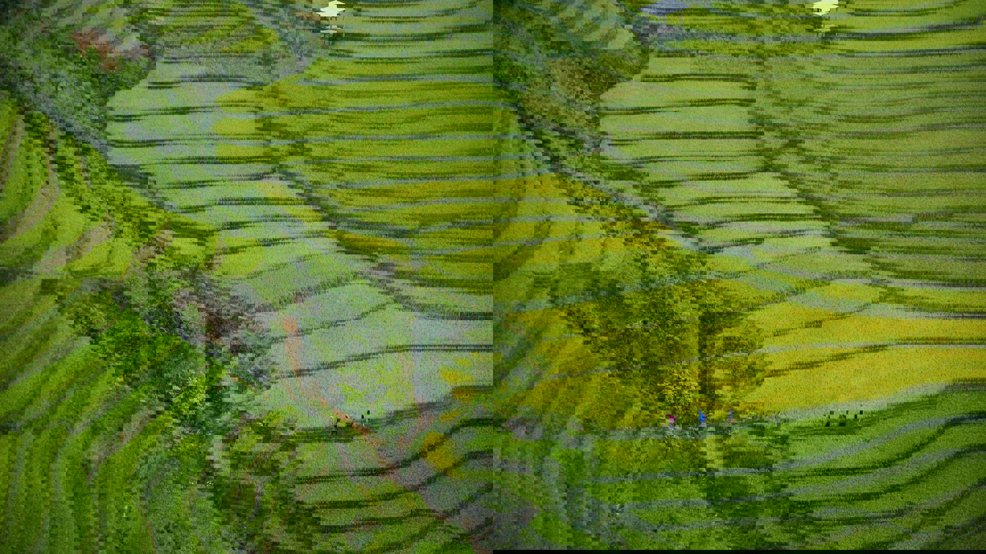 Khau Pha Pass Vietnam