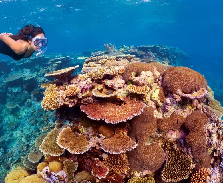 Great Barrier Reef snorkelling