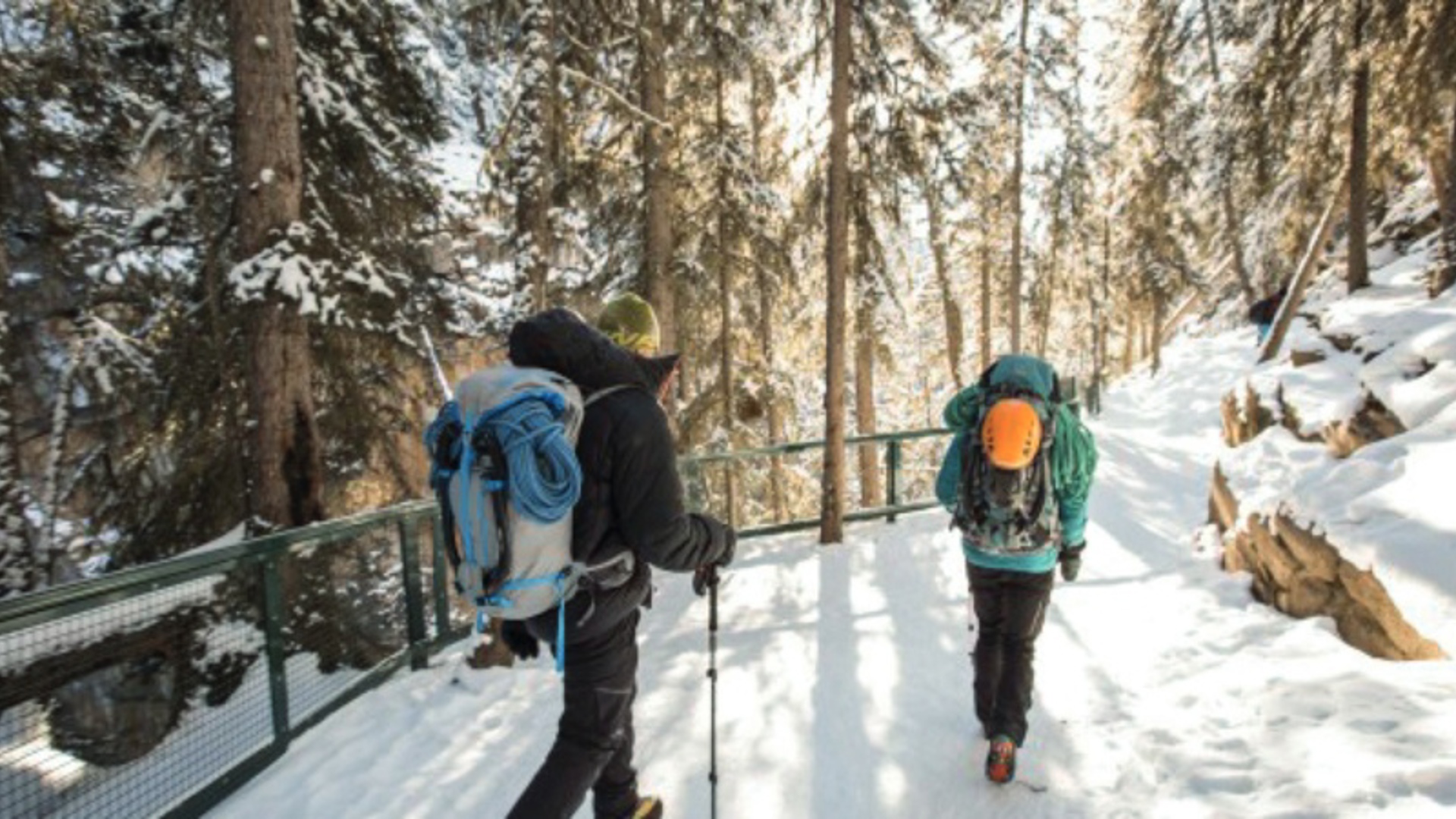 Ice climbing in Johnston Canyon at Banff - Image credit: Noel Hendrickson