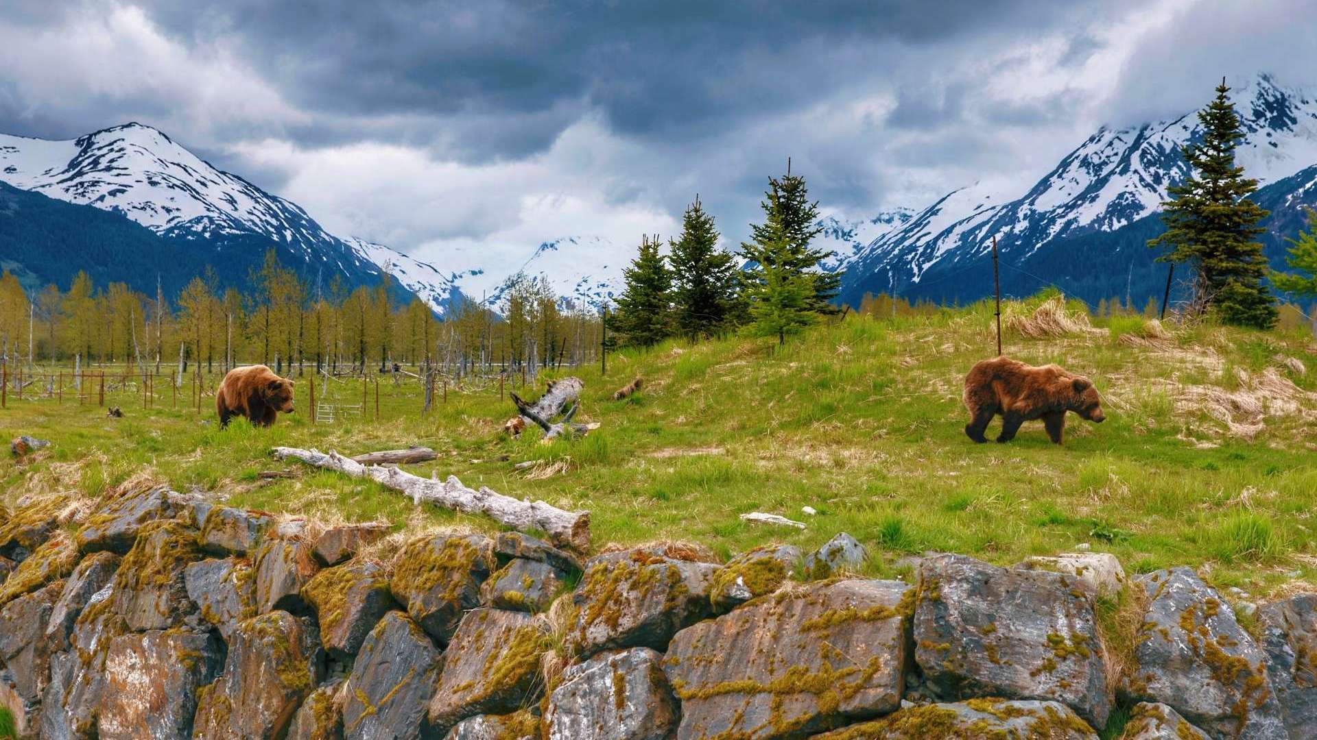 Seward, Alaska