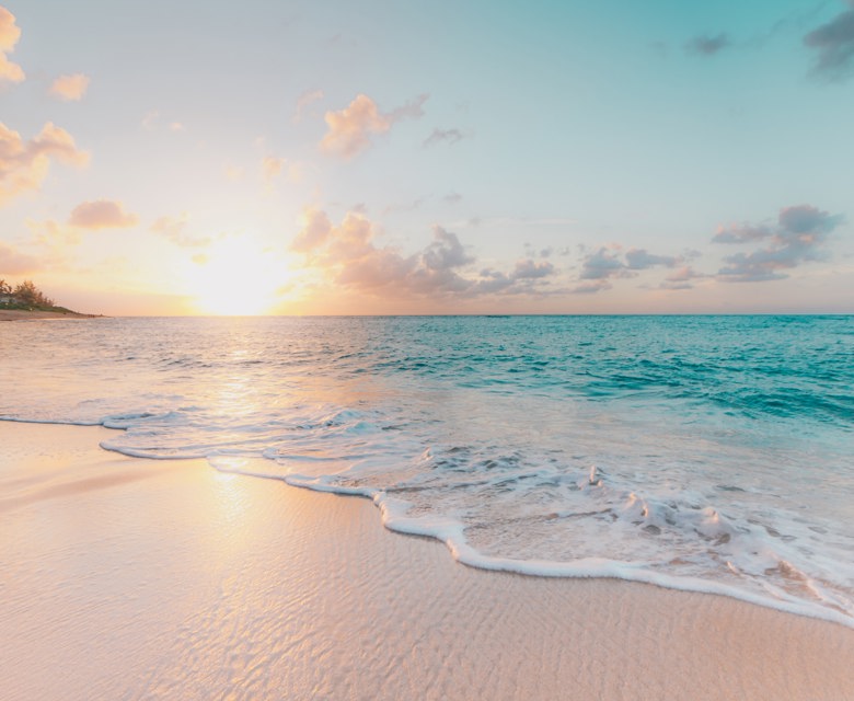 HONOLULU WEEKEND FLASH SALE!