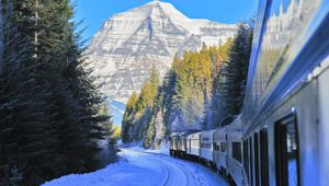 Authentic Canadian Winter Wonderland