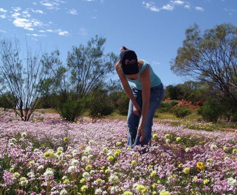 WA Wildflowers Coral Coast